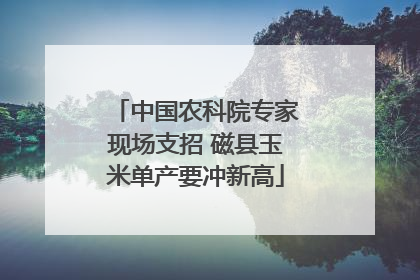 中国农科院专家现场支招 磁县玉米单产要冲新高
