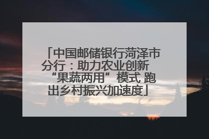 中国邮储银行菏泽市分行：助力农业创新 “果蔬两用”模式 跑出乡村振兴加速度