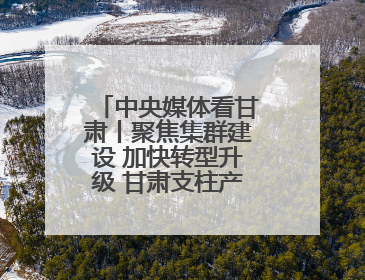 中央媒体看甘肃丨聚焦集群建设 加快转型升级 甘肃支柱产业增势强劲