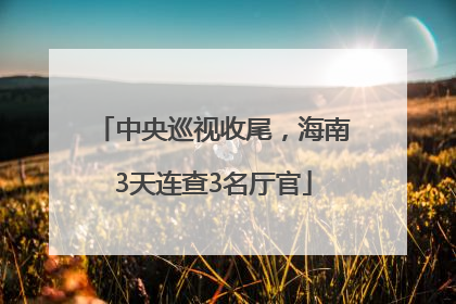 中央巡视收尾，海南3天连查3名厅官