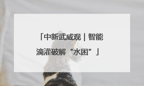 中新武威观｜智能滴灌破解“水困”