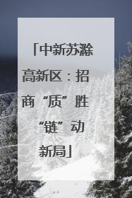 中新苏滁高新区：招商“质”胜 “链”动新局