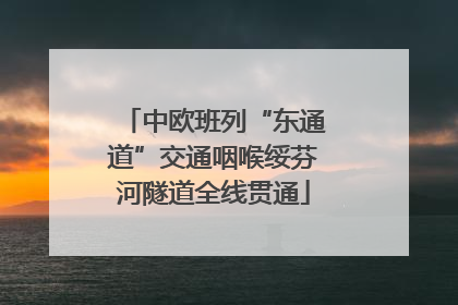 中欧班列“东通道”交通咽喉绥芬河隧道全线贯通