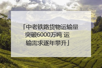 中老铁路货物运输量突破6000万吨 运输需求逐年攀升
