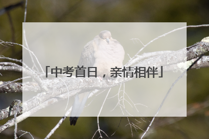 中考首日，亲情相伴