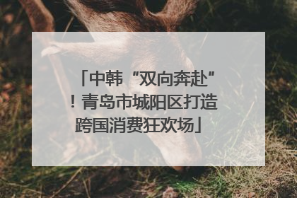 中韩“双向奔赴”！青岛市城阳区打造跨国消费狂欢场