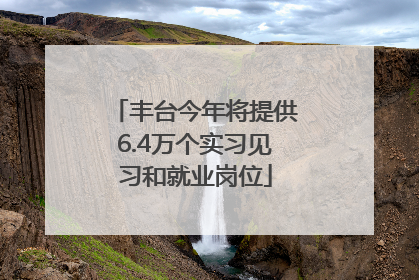 丰台今年将提供6.4万个实习见习和就业岗位