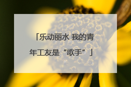 乐动丽水 我的青年工友是“歌手”