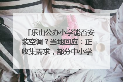 乐山公办小学能否安装空调？当地回应：正收集需求，部分中小学已启动安装｜云求助