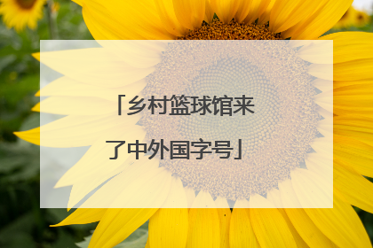 乡村篮球馆来了中外国字号