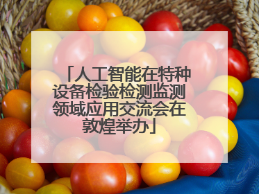 人工智能在特种设备检验检测监测领域应用交流会在敦煌举办