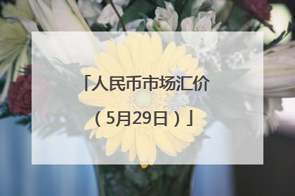 人民币市场汇价（5月29日）