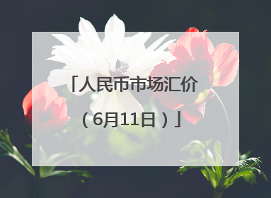 人民币市场汇价（6月11日）