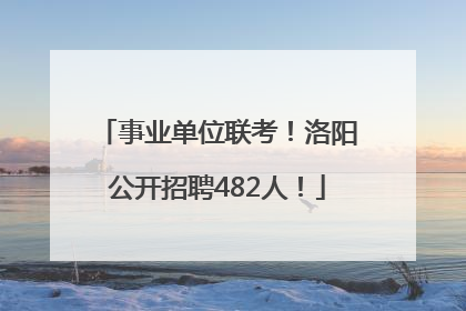 事业单位联考！洛阳公开招聘482人！