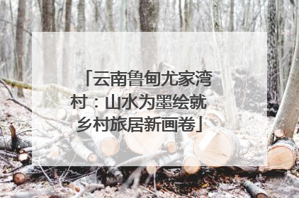 云南鲁甸尤家湾村：山水为墨绘就乡村旅居新画卷