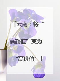 云南：将“高颜值”变为“高价值”
