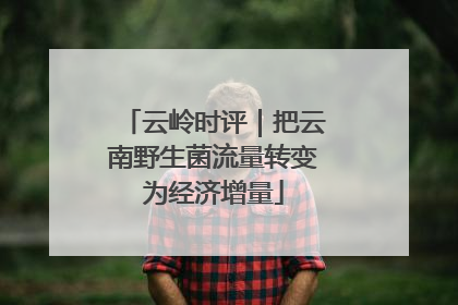云岭时评｜把云南野生菌流量转变为经济增量