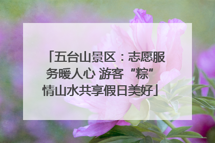 五台山景区：志愿服务暖人心 游客“粽”情山水共享假日美好