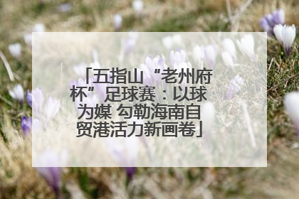 五指山“老州府杯”足球赛：以球为媒 勾勒海南自贸港活力新画卷