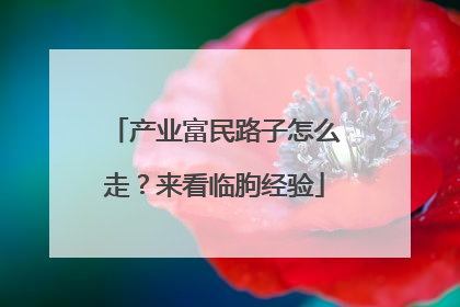 产业富民路子怎么走？来看临朐经验