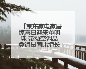 京东家电家居惊喜日迎来董明珠 带动空调品类销量同比增长100%