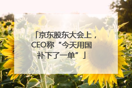 京东股东大会上，CEO称“今天用国补下了一单”