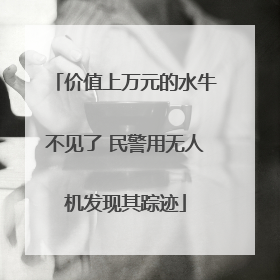 价值上万元的水牛不见了 民警用无人机发现其踪迹