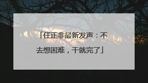 任正非最新发声：不去想困难，干就完了