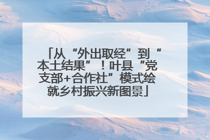 从“外出取经”到“本土结果”！叶县“党支部+合作社”模式绘就乡村振兴新图景