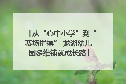 从“心中小学”到“赛场拼搏” 龙湖幼儿园多维铺就成长路