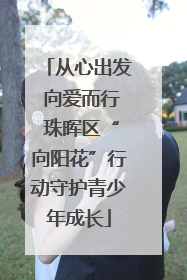 从心出发 向爱而行 珠晖区“向阳花”行动守护青少年成长