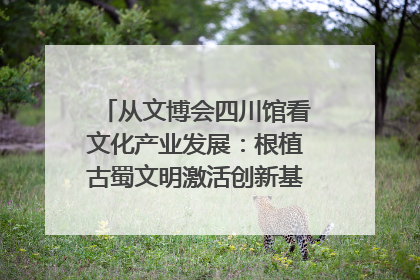从文博会四川馆看文化产业发展：根植古蜀文明激活创新基因｜文博向“新”