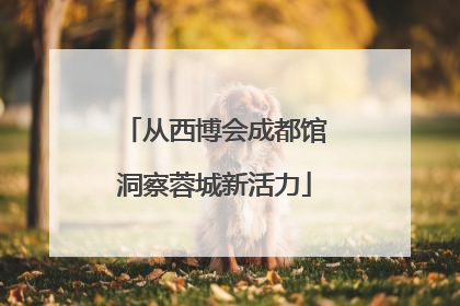 从西博会成都馆洞察蓉城新活力