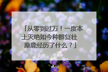 从零到过万！一度本土灭绝如今种群复壮 麋鹿经历了什么？