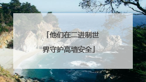 他们在二进制世界守护高墙安全