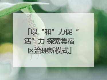 以“和”力促“活”力 探索集宿区治理新模式