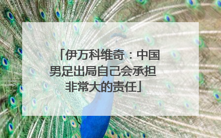 伊万科维奇：中国男足出局自己会承担非常大的责任