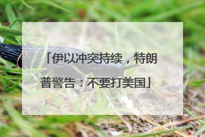 伊以冲突持续，特朗普警告：不要打美国