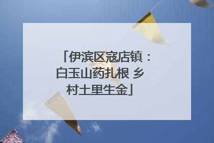 伊滨区寇店镇：白玉山药扎根 乡村土里生金