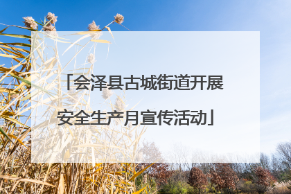 会泽县古城街道开展安全生产月宣传活动