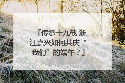传承十九载 浙江嘉兴如何共庆“我们”的端午？