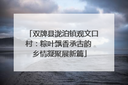 双牌县泷泊镇观文口村：粽叶飘香承古韵 乡情凝聚展新篇