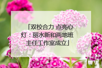 双校合力 点亮心灯：丽水新和两地班主任工作室成立