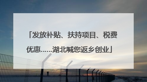发放补贴、扶持项目、税费优惠……湖北喊您返乡创业