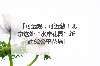 可远观，可近游！北京这处“水岸花园”新建62公里花墙