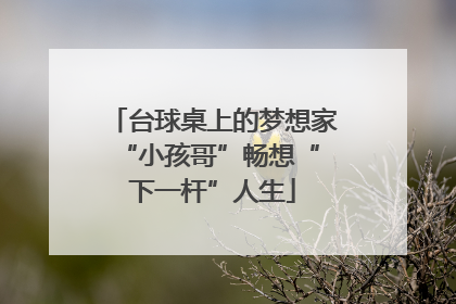 台球桌上的梦想家 “小孩哥”畅想“下一杆”人生