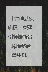 台前县侯庙镇：党建引领绘新景 环境整治焕生机