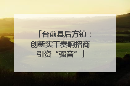 台前县后方镇：创新实干奏响招商引资“强音”