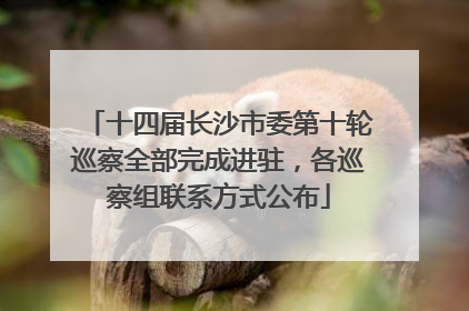 十四届长沙市委第十轮巡察全部完成进驻，各巡察组联系方式公布