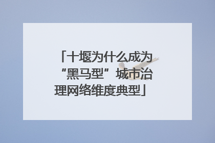 十堰为什么成为“黑马型”城市治理网络维度典型